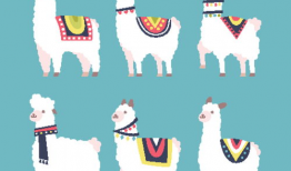 羊驼漫画,趣味横生的动物世界