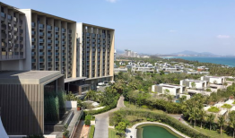 艾迪逊,探索创新与变革的科技先锋